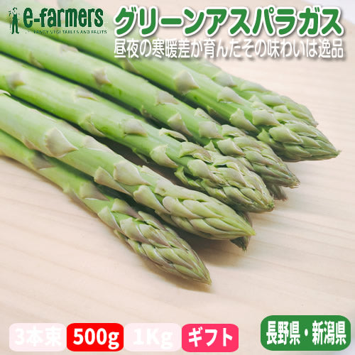 グリーンアスパラガス プレミアム サイズで選ぶ 厳選500g以上 シャキッとした食べ応えの中にほのかな甘みと風味 長野県・新潟県産