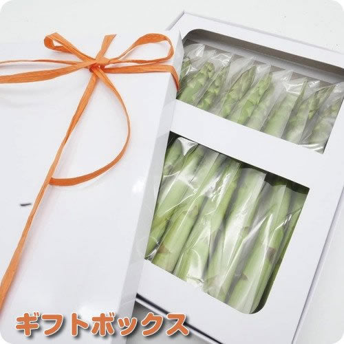 グリーンアスパラガス プレミアム サイズで選ぶ 厳選500g以上 シャキッとした食べ応えの中にほのかな甘みと風味 長野県・新潟県産
