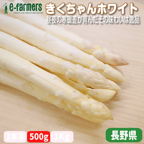 ホワイトアスパラ きくちゃんホワイト サイズで選ぶ 500g以上 昼夜の寒暖差が育んだその味わいは逸品 長野県産