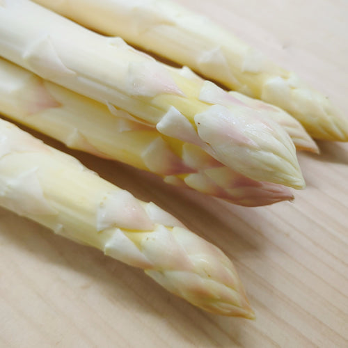 ホワイトアスパラ きくちゃんホワイト 送料無料 サイズで選ぶ 1Kg以上 昼夜の寒暖差が育んだその味わいは逸品 長野県産