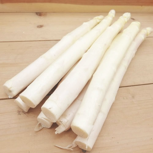 ホワイトアスパラ きくちゃんホワイト サイズで選ぶ 500g以上 昼夜の寒暖差が育んだその味わいは逸品 長野県産