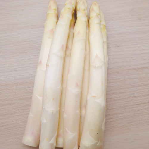 ホワイトアスパラ きくちゃんホワイト サイズで選ぶ 500g以上 昼夜の寒暖差が育んだその味わいは逸品 長野県産