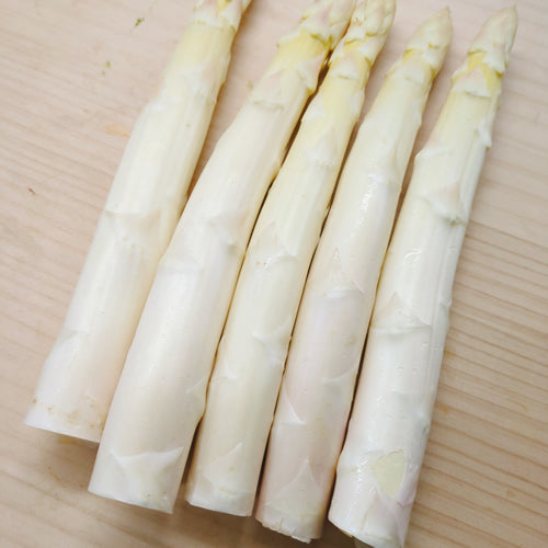 ホワイトアスパラ きくちゃんホワイト サイズで選ぶ 500g以上 昼夜の寒暖差が育んだその味わいは逸品 長野県産