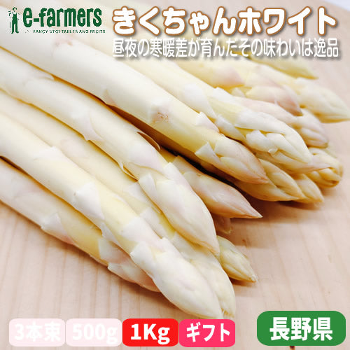 ホワイトアスパラ きくちゃんホワイト 送料無料 サイズで選ぶ 1Kg以上 昼夜の寒暖差が育んだその味わいは逸品 長野県産