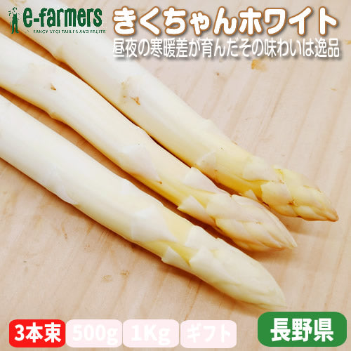 ホワイトアスパラ きくちゃんホワイト サイズで選ぶ 厳選3本束 昼夜の寒暖差が育んだその味わいは逸品 長野県産