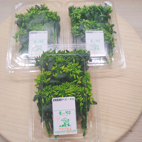 ベビーネロ お洒落サイズのイタリアンケールキャベツ 栄養凝縮 ベビー野菜 福岡県産