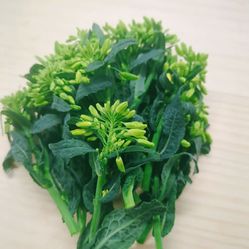 ベビーネロ お洒落サイズのイタリアンケールキャベツ 栄養凝縮 ベビー野菜 福岡県産