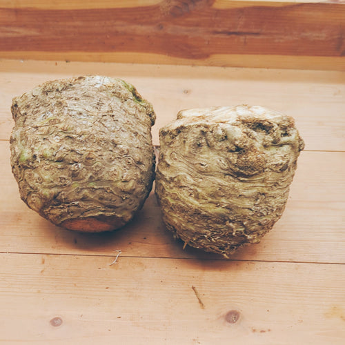 セルリアック(根セロリ) | 独特な味わいと栄養価の高さが魅力のセロリの風味を持つ根菜 長野県産