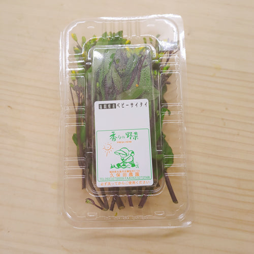 ベビーサイタイ 中国野菜の個性的な菜の花「紅菜苔」の脇芽 栄養凝縮 ベビー野菜 福岡県産