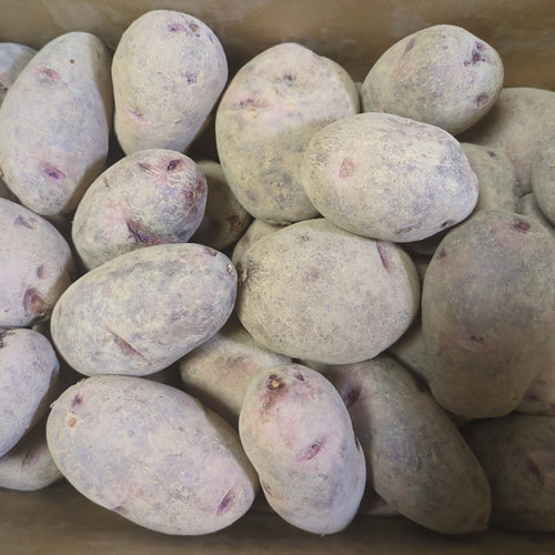 デストロイヤー(グランドペチカ) 北海道ファンシーじゃがいも 紫のマスクを被った美味しくて面白いじゃがいも 北海道産