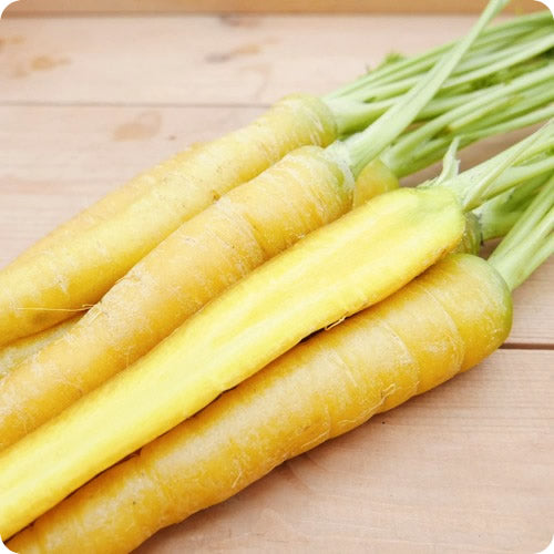 淡路島葉付スティックにんじん 250g程度 野菜スティックに最適 兵庫県産