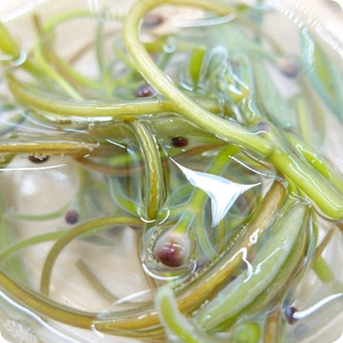 森吉生じゅんさい 500g程度 送料無料 万葉集にも「沼縄(ぬなわ)」 として登場する沼の野菜 秋田県産