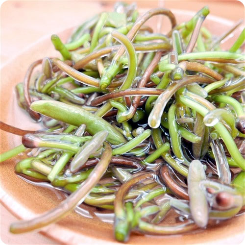 森吉生じゅんさい 500g程度 送料無料 万葉集にも「沼縄(ぬなわ)」 として登場する沼の野菜 秋田県産