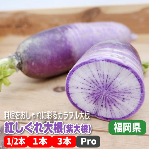 紅しぐれ(紫大根) 料理を少しだけおシャレに彩るみずみすしい鮮やか九州大根 福岡・大分県産
