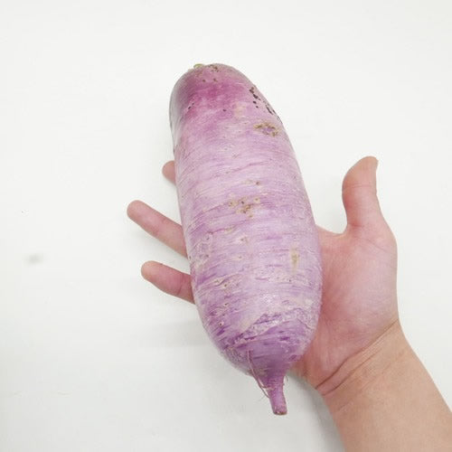 紅しぐれ(紫大根) 料理を少しだけおシャレに彩るみずみすしい鮮やか九州大根 福岡・大分県産