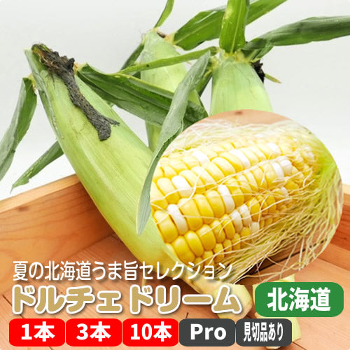 【期間限定】北海道スイートコーン ドルチェドリーム ジューシーでフルーティーな白と黄色のバイカラー 北海道産