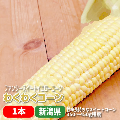 わくわくコーン プリプリ食感 甘さ長持ちスイートコーン 新潟県産