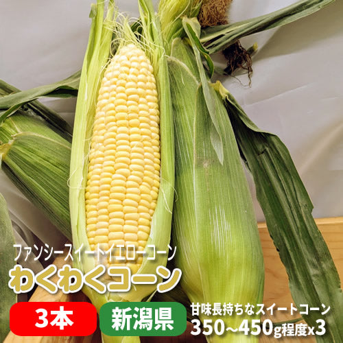 わくわくコーン プリプリ食感 甘さ長持ちスイートコーン 新潟県産