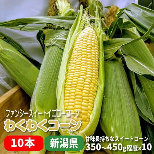 わくわくコーン プリプリ食感 甘さ長持ちスイートコーン 新潟県産