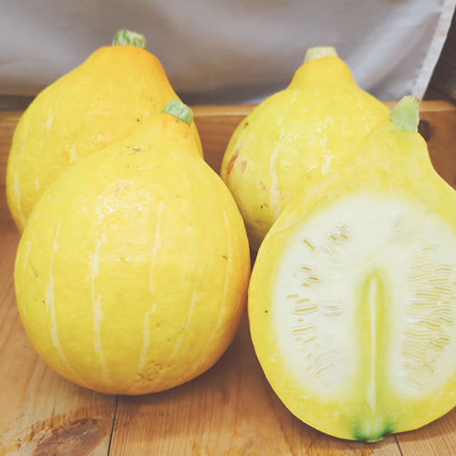 コリンキー 若採り フレッシュ感溢れるサラダかぼちゃ 福岡県産