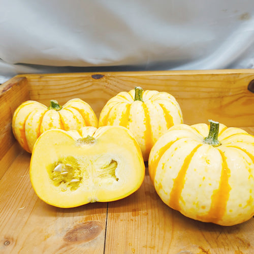 夏のミニかぼちゃ プッチーニ 手のひらサイズの鮮やかオレンジのかぼちゃ 福岡県産