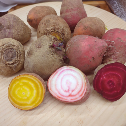 北海道ビーツ 赤・黄・うずまき 色指定もできる栄養満点のスーパーフード野菜 北海道産
