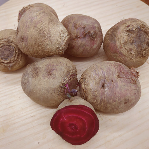 北海道ビーツ 赤・黄・うずまき 色指定もできる栄養満点のスーパーフード野菜 北海道産