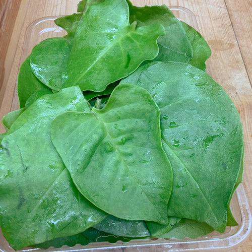 オカワカメ(雲南百薬) 葉とむかご 300g程度 ワカメのような食感が味わえる栄養満点の野菜 種子島産