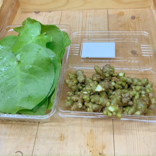 オカワカメ(雲南百薬) 葉とむかご 300g程度 ワカメのような食感が味わえる栄養満点の野菜 種子島産