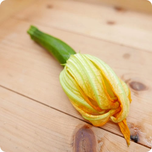 フラワーズッキーニ 花付き 稀少な春野菜 アレンジ料理 静岡県産