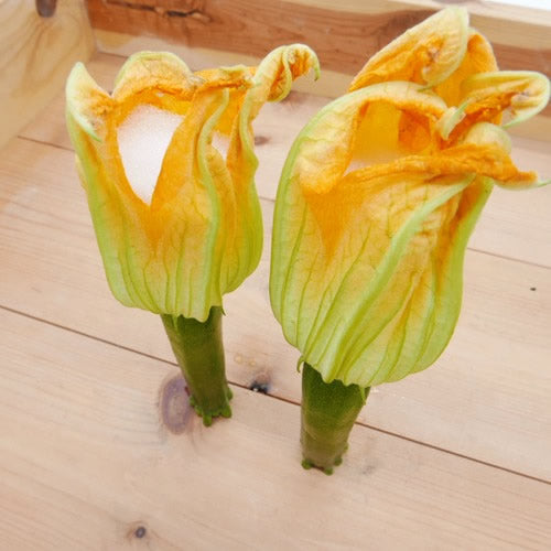 フラワーズッキーニ 花付き 稀少な春野菜 アレンジ料理 静岡県産