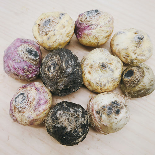 国産フレッシュ(生)マカ プライマリースーパーフード10の野菜