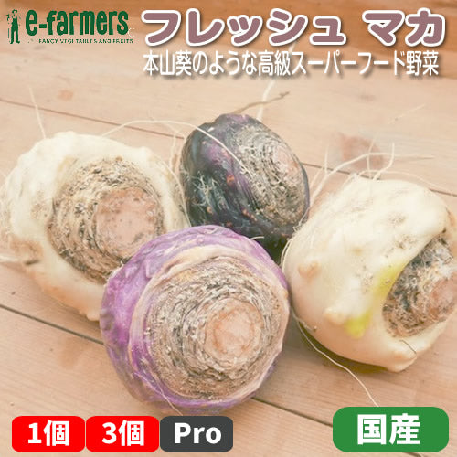 国産フレッシュ(生)マカ プライマリースーパーフード10の野菜