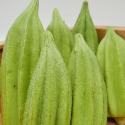 オクタゴン(八角オクラ) 肉厚で柔らか食感 星形オクラ 福岡県産
