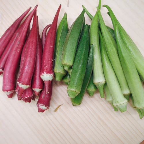 東京オクラ 30本セット 品種で選ぶ or 食べ比べる 新東京野菜エンターテイメント 東京都産