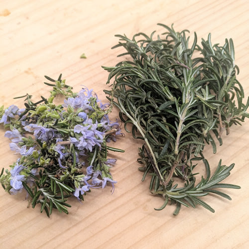 ローズマリー 葉も花も魅力的な爽やかでスパイシーな香りが特徴のハーブ 福岡県産