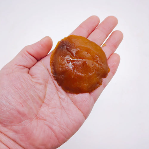 天然きのこ エノキダケ(榎茸) 濃厚な香りや風味と歯応えが本物のエノキ 秋田県産