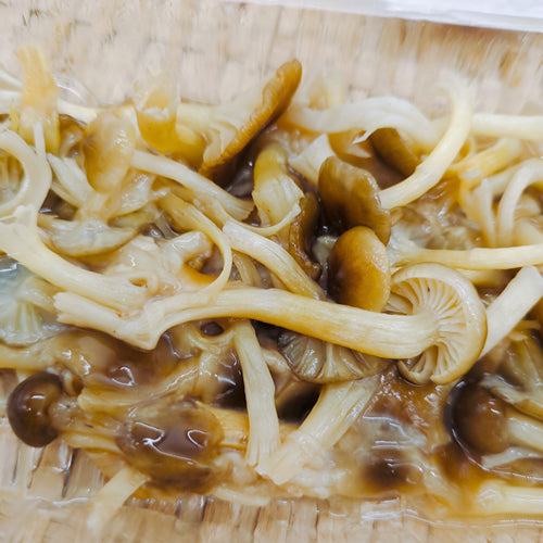 天然きのこ フユヤマタケ(冬山茸) 100g程度 ぬめりのある食感と風味!鍋物や炒め物に最適 秋田県産