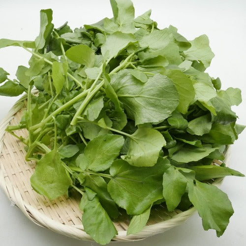 天然山菜 里山クレソン | 長野の清流が育んだ野生の滋味 驚きの香りと辛み 肉料理やサラダに 長野県産