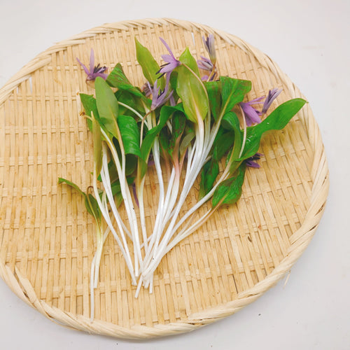 天然山菜 カタクリの花 ほんのりとした甘みと上品な香りが引き立つ春の風物詩 秋田県産