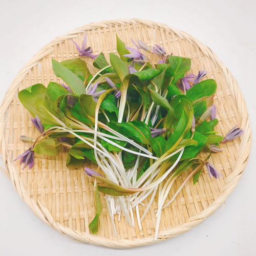 天然山菜 カタクリの花 ほんのりとした甘みと上品な香りが引き立つ春の風物詩 秋田県産