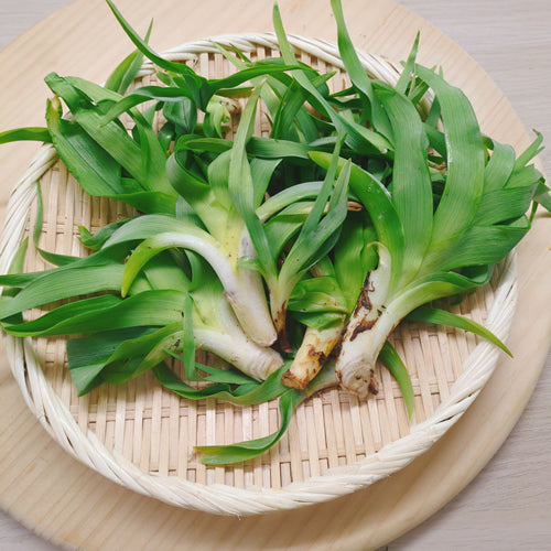 天然薬草山菜 カンゾウ 信州里山の達人厳選収穫 鮮やかな緑色と独特のぬめりが特徴 長野県産