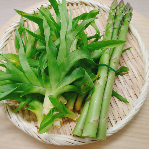 天然薬草山菜 カンゾウ 信州里山の達人厳選収穫 鮮やかな緑色と独特のぬめりが特徴 長野県産