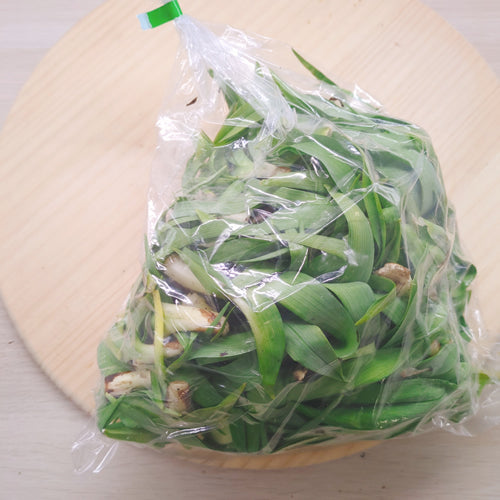 天然薬草山菜 カンゾウ 信州里山の達人厳選収穫 鮮やかな緑色と独特のぬめりが特徴 長野県産