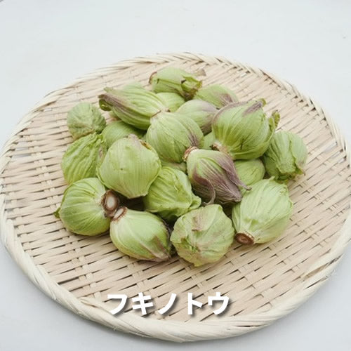 仲春の天然山菜 フキノトウと田セリ・芽アサツキなどから3種のおまかせセット 3月が旬の山菜 秋田県・長野県産