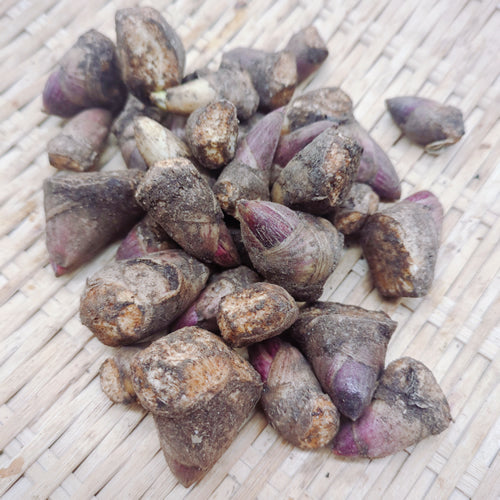 天然山菜 ヤマウドの新芽 寒い季節に芽吹いた柔らかな食感の一番採り 秋田県産