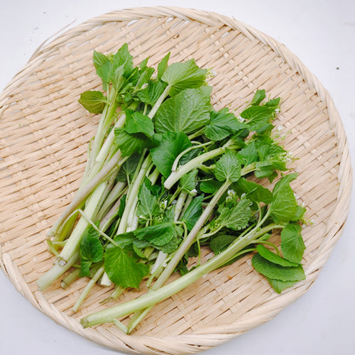 天然山菜 花ワサビ 口に入れた瞬間に広がる爽やかな香りと後からくるツンとした辛み 長野県産