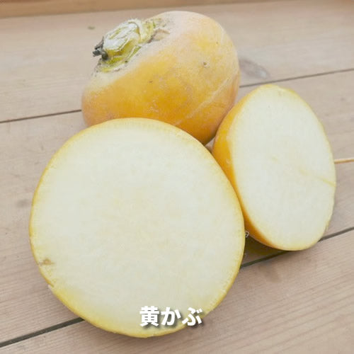 香りの西洋野菜セットB 送料無料 春の稀少なケール・ハーブ・菜花・セロリ・パセリ・かぶ類セット 福岡県他国産
