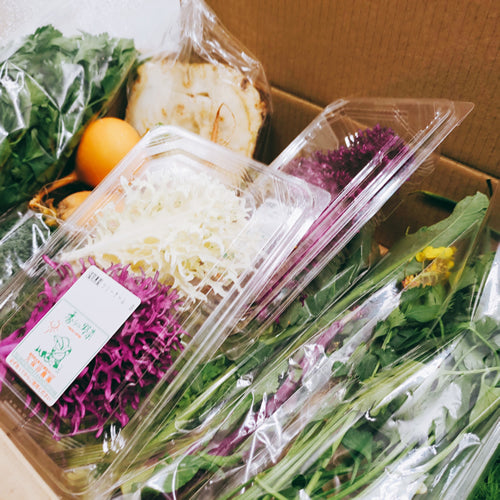香りの西洋野菜セットB 送料無料 春の稀少なケール・ハーブ・菜花・セロリ・パセリ・かぶ類セット 福岡県他国産