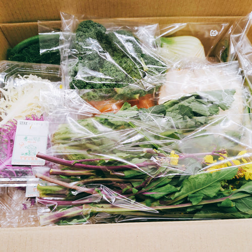 香りの西洋野菜セットB 送料無料 春の稀少なケール・ハーブ・菜花・セロリ・パセリ・かぶ類セット 福岡県他国産